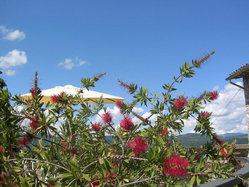 B&B La Terrazza Del Subasio Assisi Zimmer foto