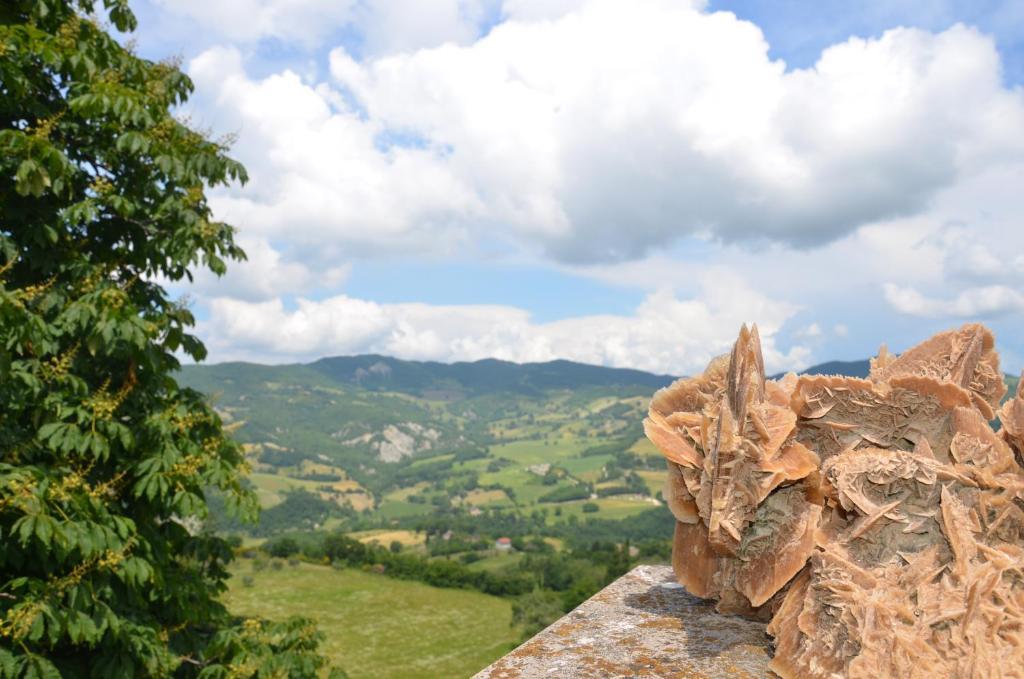 B&B La Terrazza Del Subasio Assisi Exterior foto